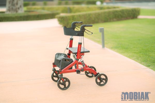 Περιπατητήρας Rollator “RUBY” 0805499 - Image 2