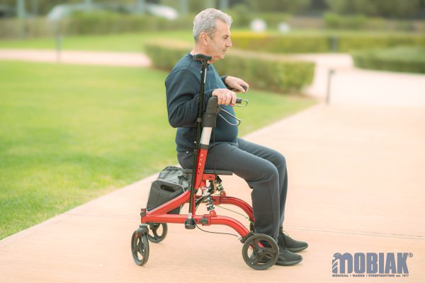 Περιπατητήρας Rollator “RUBY” 0805499 - Image 4